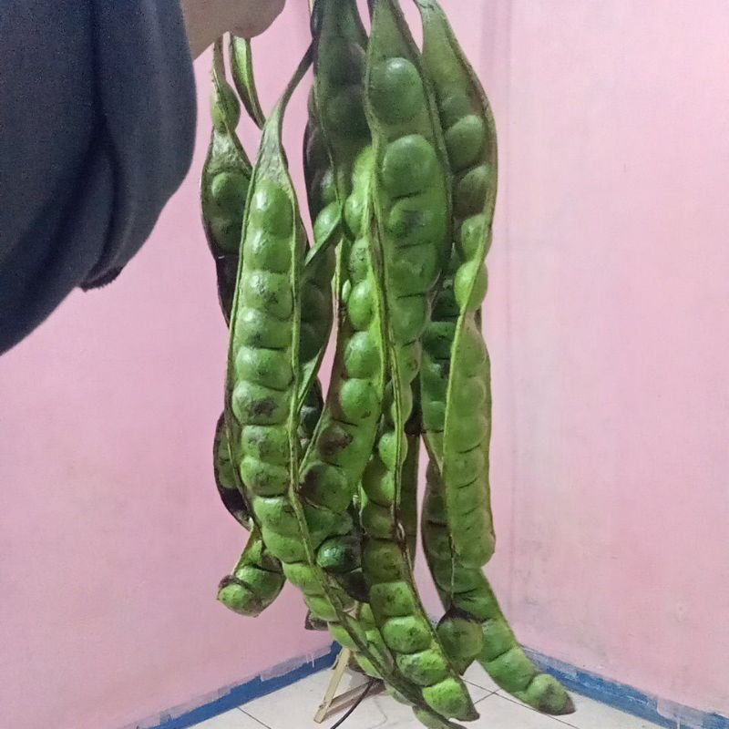 

Pete sedeng isi 20papan