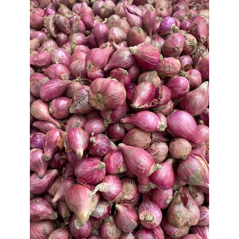 

100 gram bawang merah , brambang