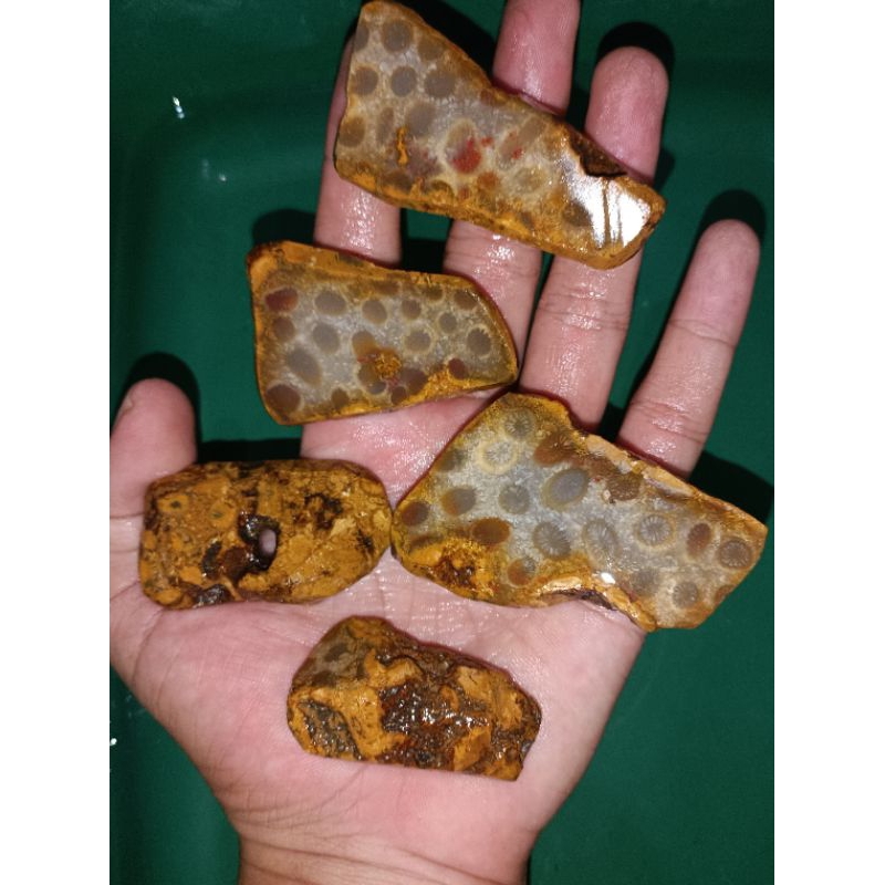 BAHAN NATURAL ROUGH BATU RAJA CHALSEDONY CORAK TOTOL BATU AKIK MOTIF GAMBAR