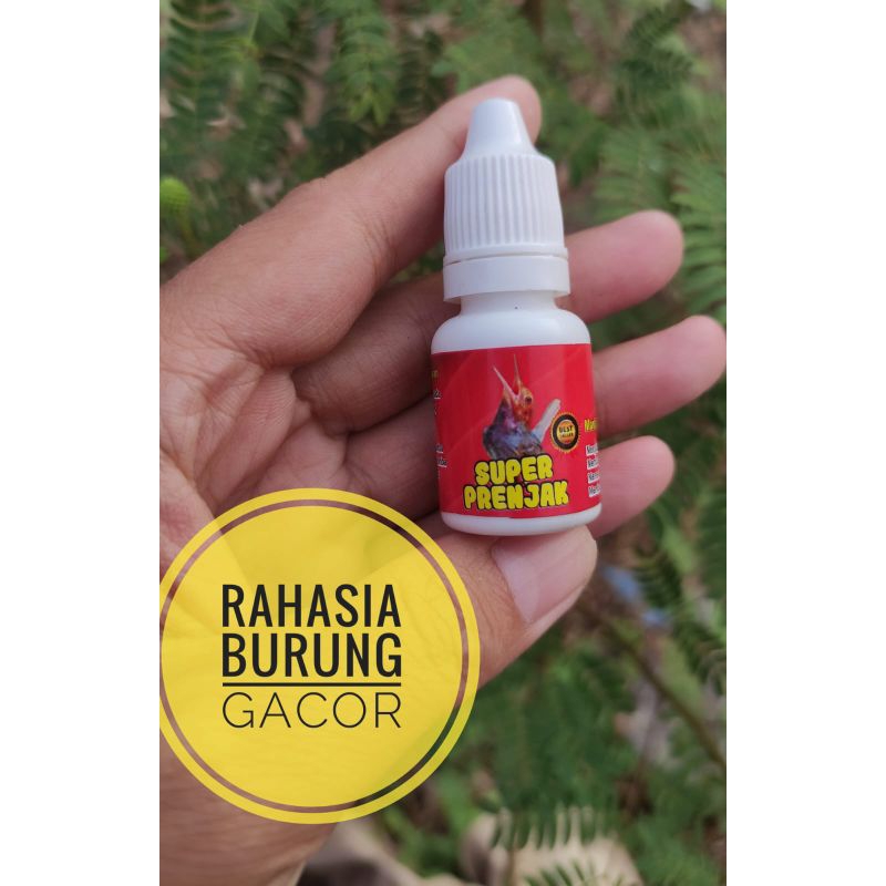 super prenjak_vitamin penggacor burung prenjak