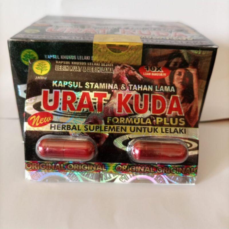 Urat Kuda Original