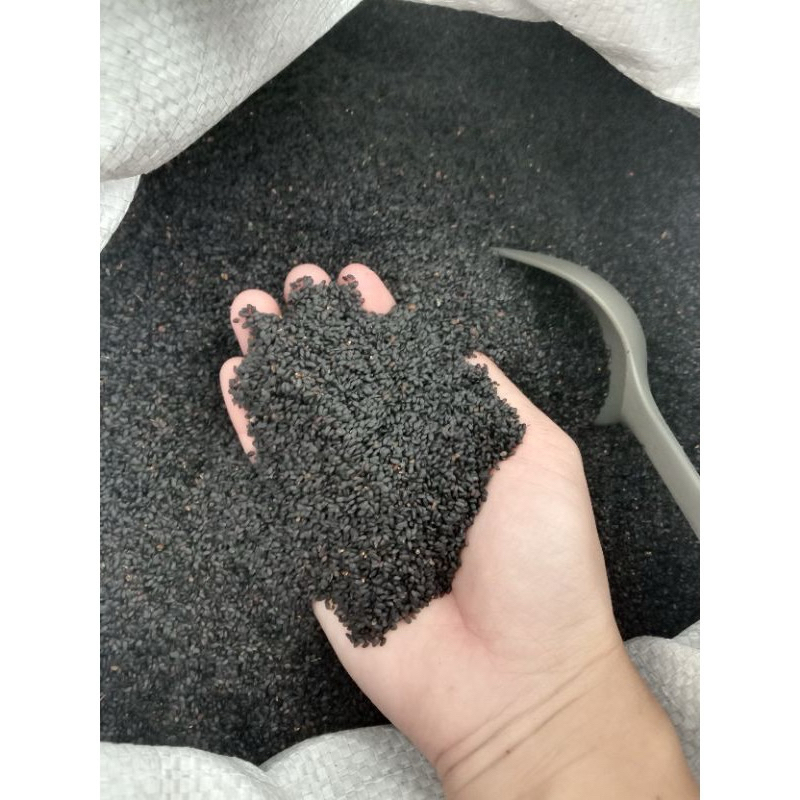 

biji selasih 1 kg