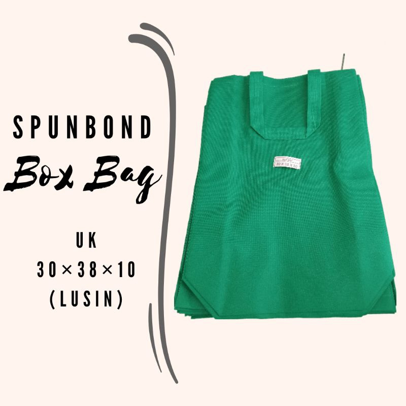 

TAS SPUNBOND BOX BAG UK 30×38×10 (LUSIN)