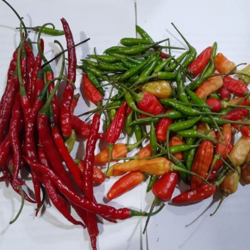 

Cabai Campur Rawit Merah+Hijau 250 gram KIRIM INSTANT