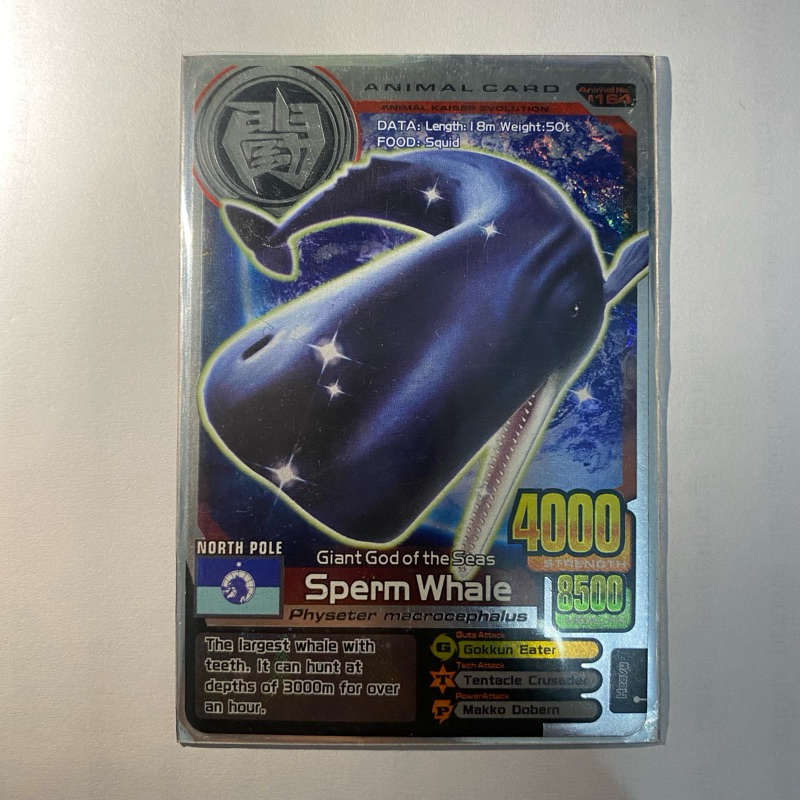 Kartu Animal Kaiser - Sperm Whale