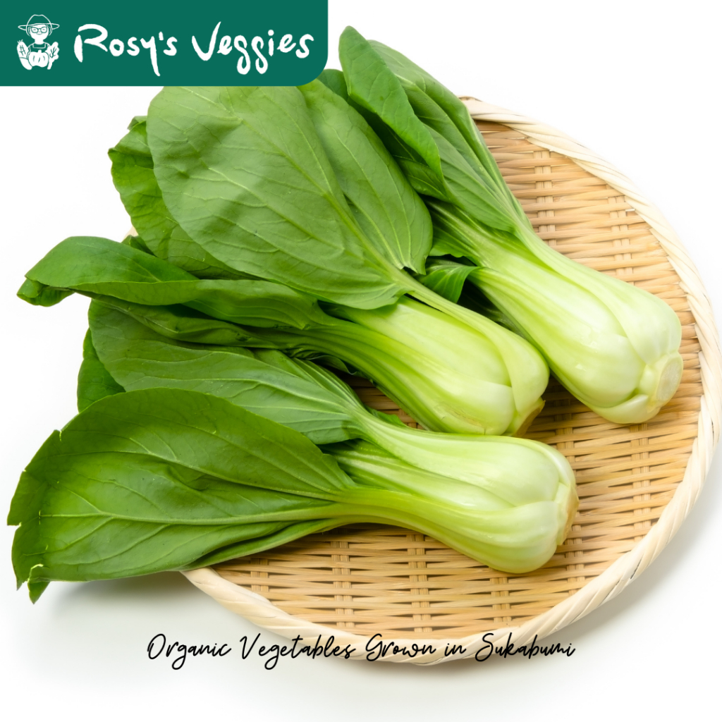 

Pakcoy / Pokcoy / Bokchoy Organik | 250 gr