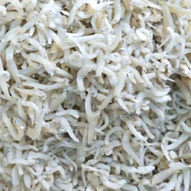 

FG2 Ikan Teri Medan 1gr