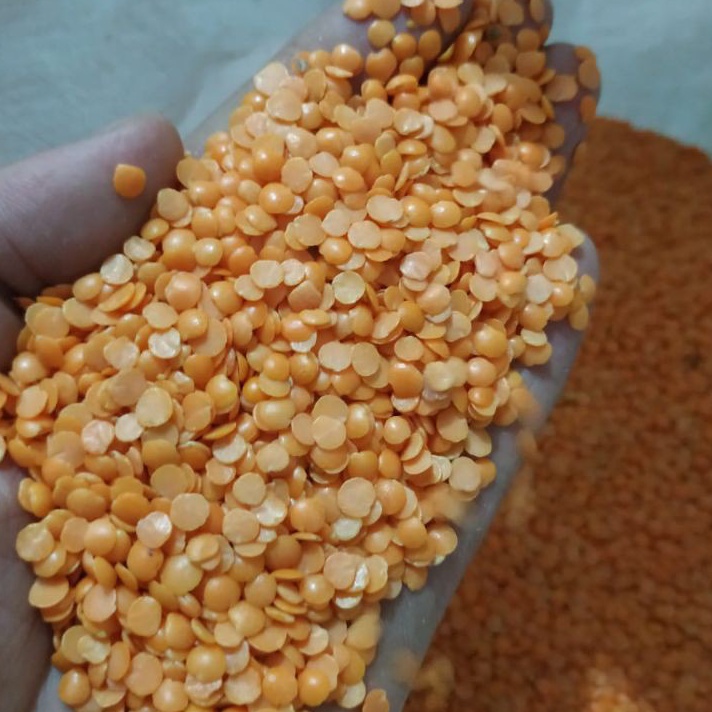 

Sale RED LENTILS MASOOR DALL SPLIT LENTILS 1 KG