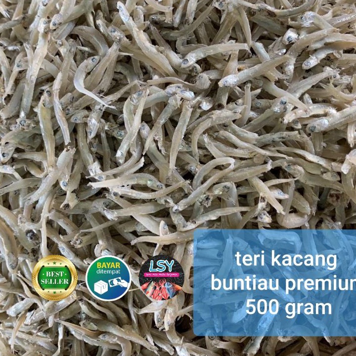 

Terbatas ikan asin teri kacang buntiau premium 5gr