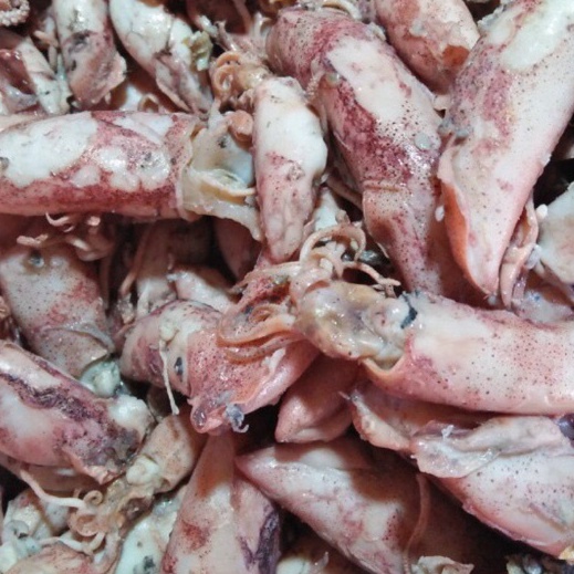 

Flash Sale Ikan cumi asin 25gram khusus gojekgrab