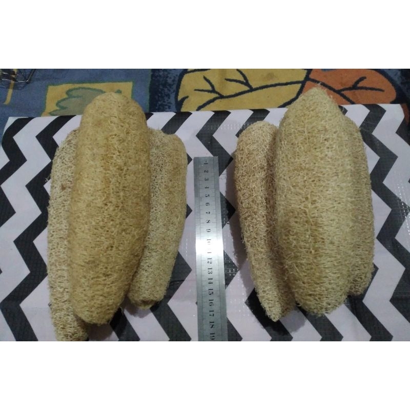 loofah/emes/spons mandi alami