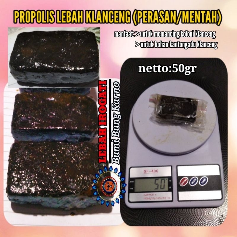 

PROPOLIS /BEKAS PERASAN MADU KLANCENG MENTAH 50GR