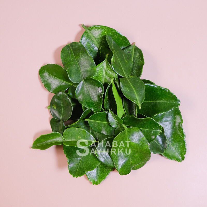 

Daun Jeruk