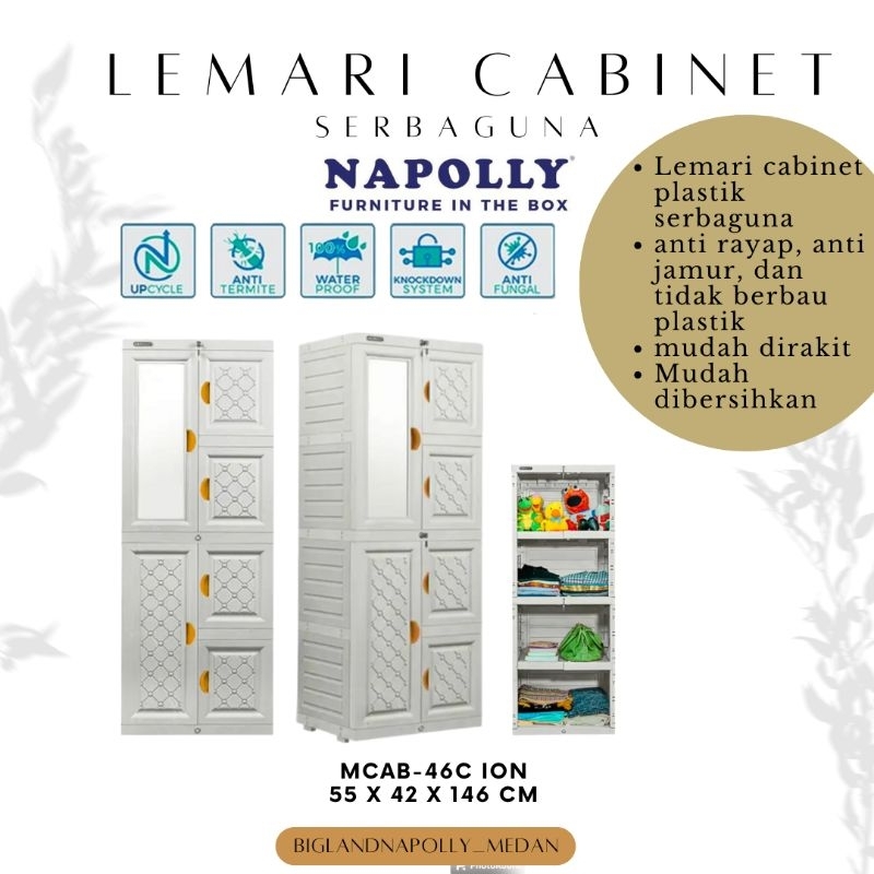 Lemari Cabinet / Lemari Serbaguna 2 Pintu Plastik Napolly