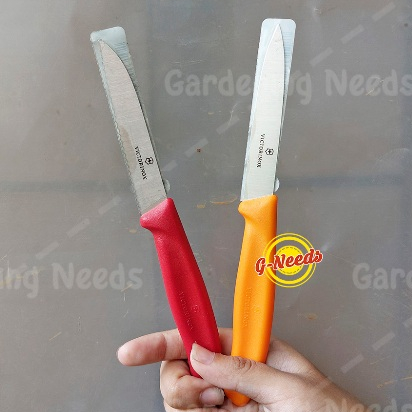 Pisau Dapur / Pisau Buah / Pisau Grafting VICTORINOX