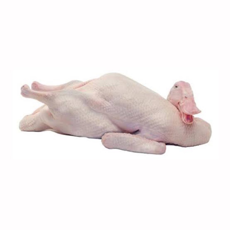 

bebek potong / bebek frozen