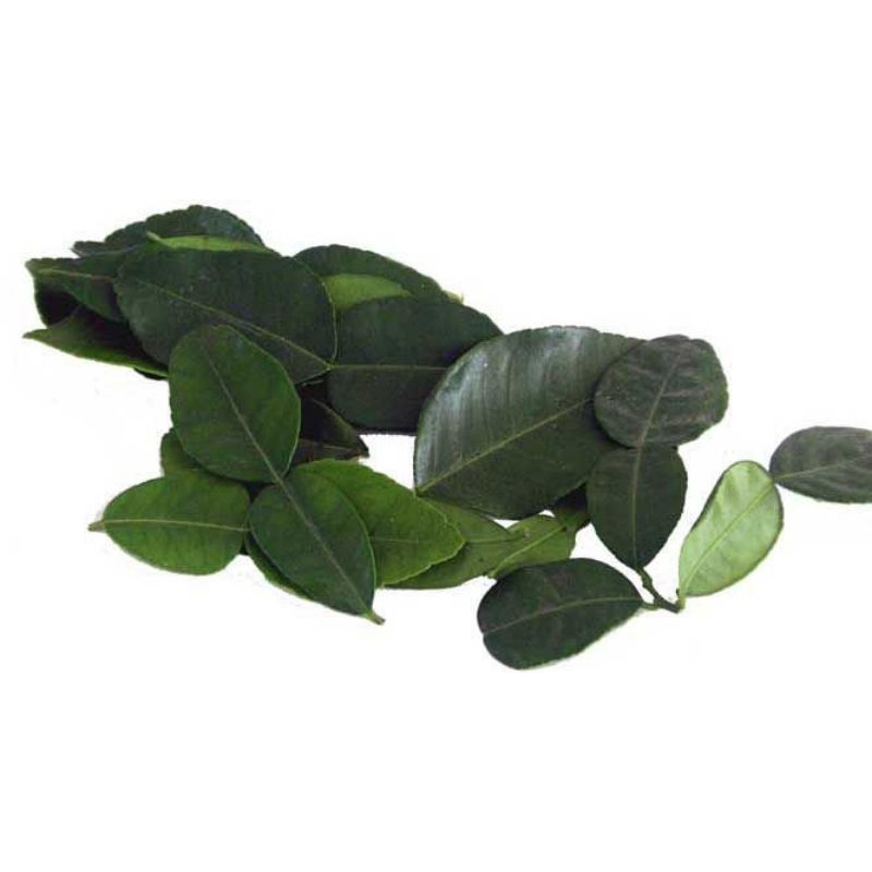 

Daun Jeruk 100gr