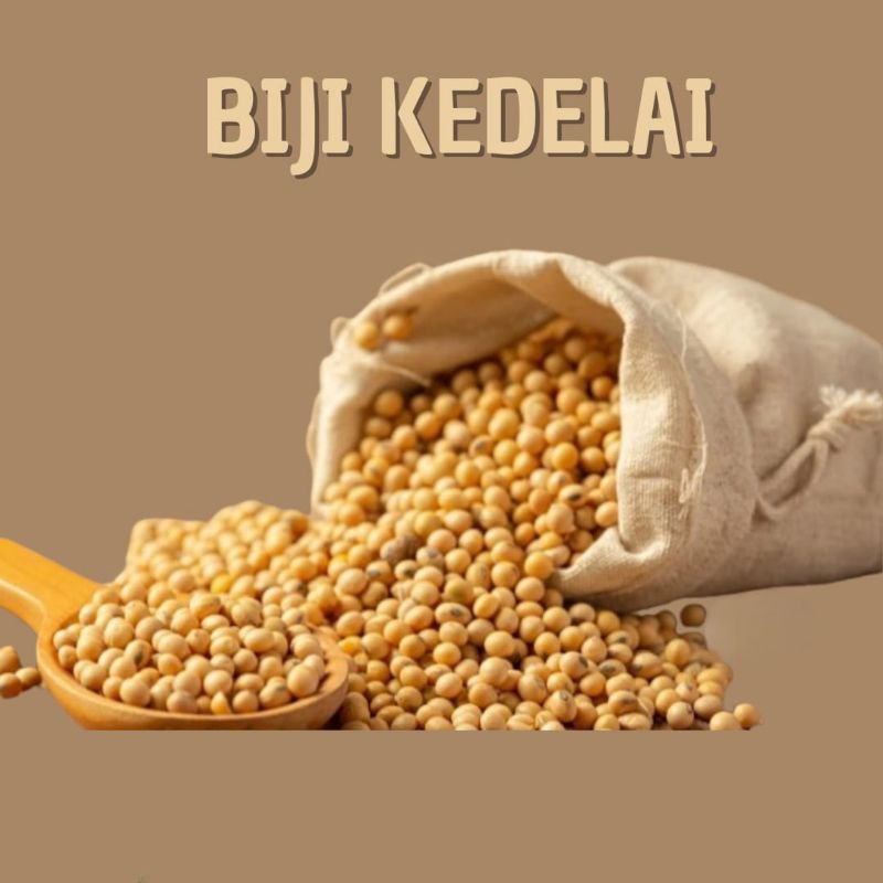 

Kacang kedelai import USA grade A kualitas premium Merek HIU