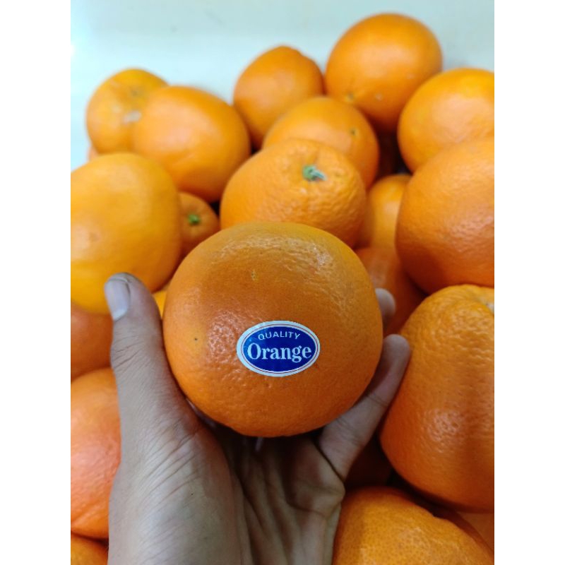 

BUAH SUNKIST NEVEL USA