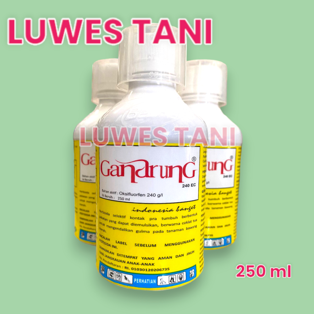 Gandrung 240ec 250ml oksifluorfen herbisida selektif bawang merah