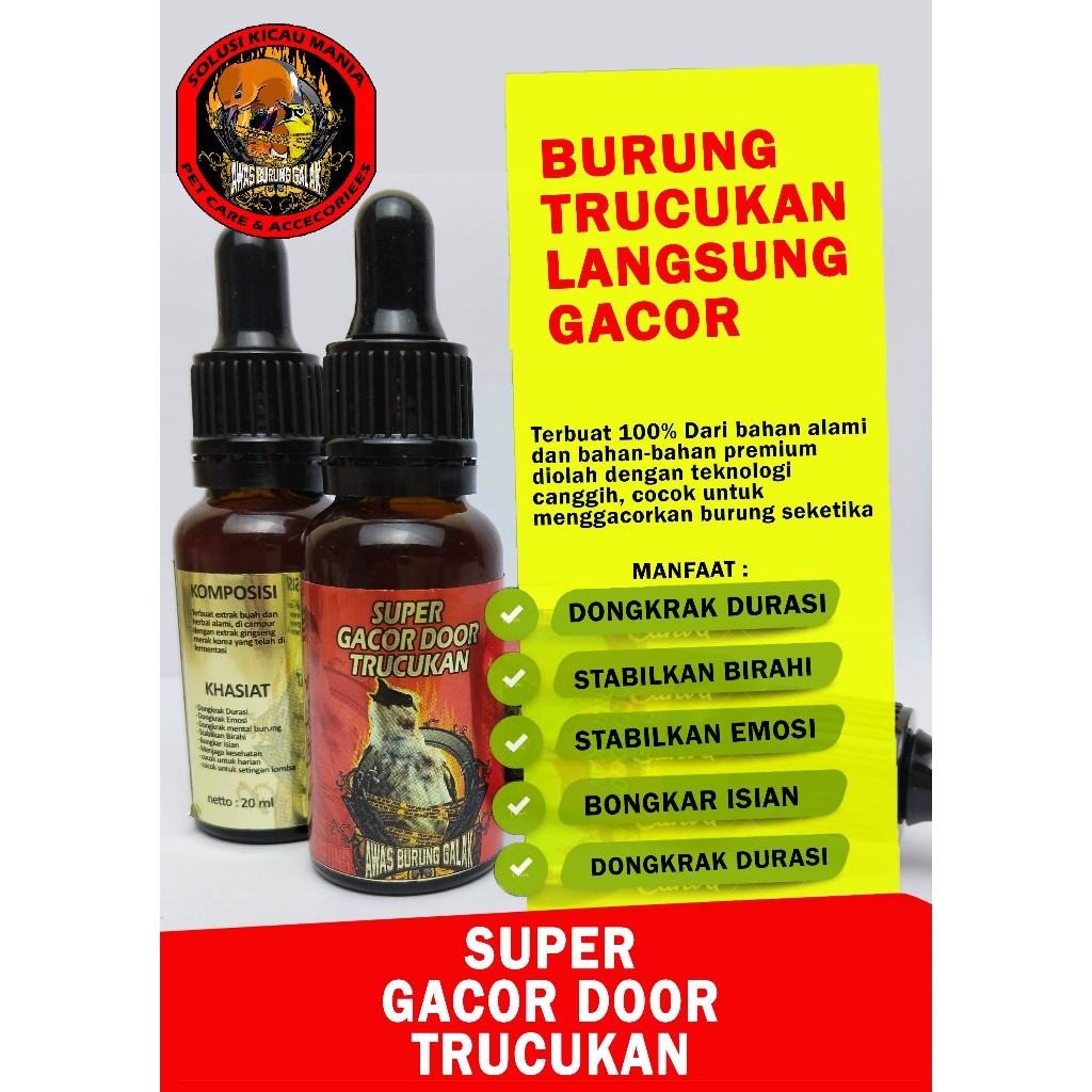 SUPER GACOR DOOR TRUCUKAN PENGGACOR SEKETIKA