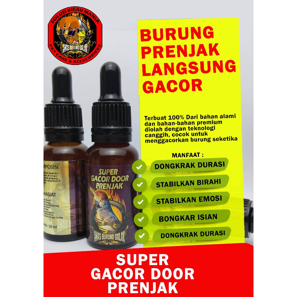 SUPER GACOR DOOR PRENJAK PENGGACOR SEKETIKA