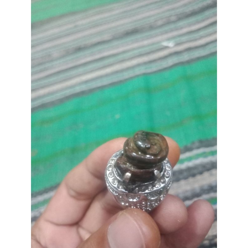 mustika cacing kanil alam