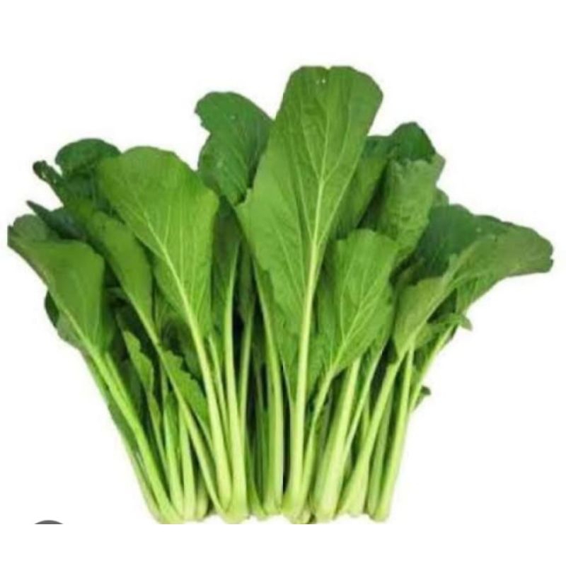

SAYUR SESIM/SOSIN) / 250g
