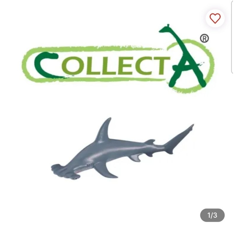Collecta Figure Scalloped Hammerhead Shark 88045