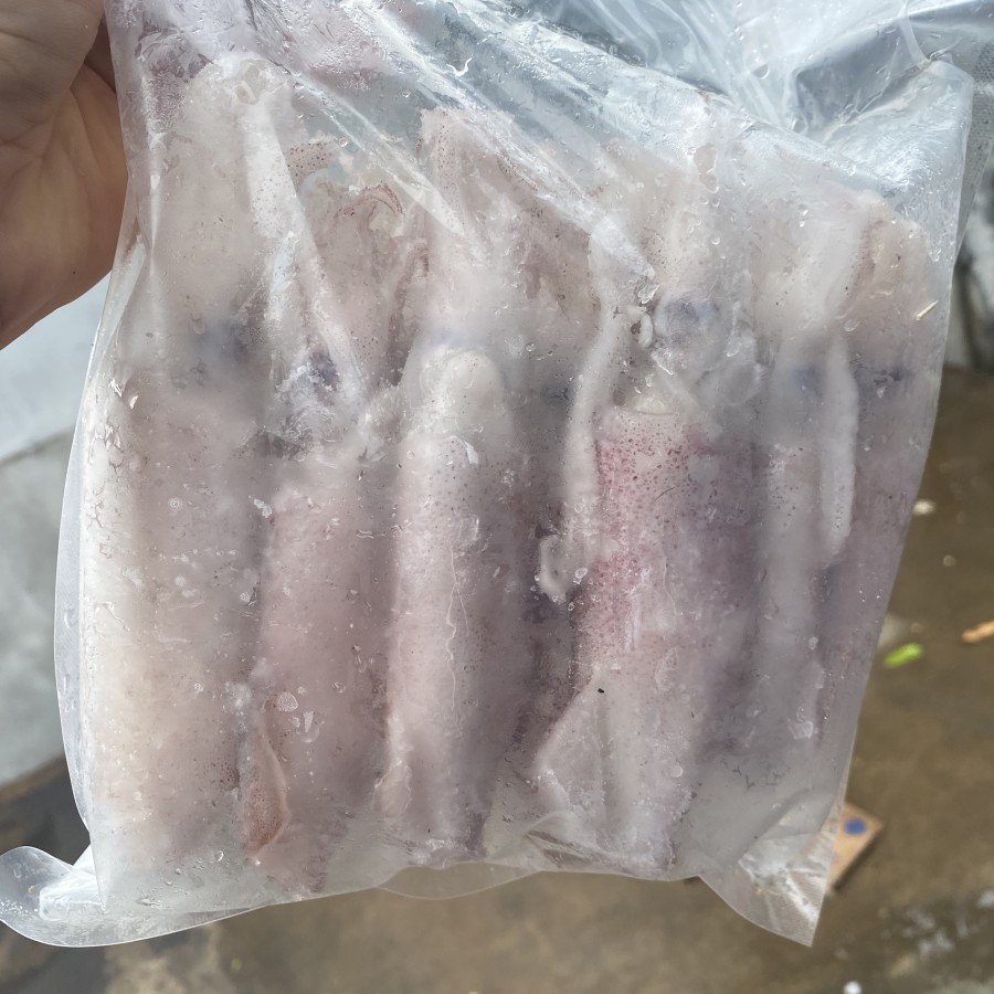 

Cumi Utuh beku iqf - cumi frozen utuh size 8-10 cm kemasan 1 kg
