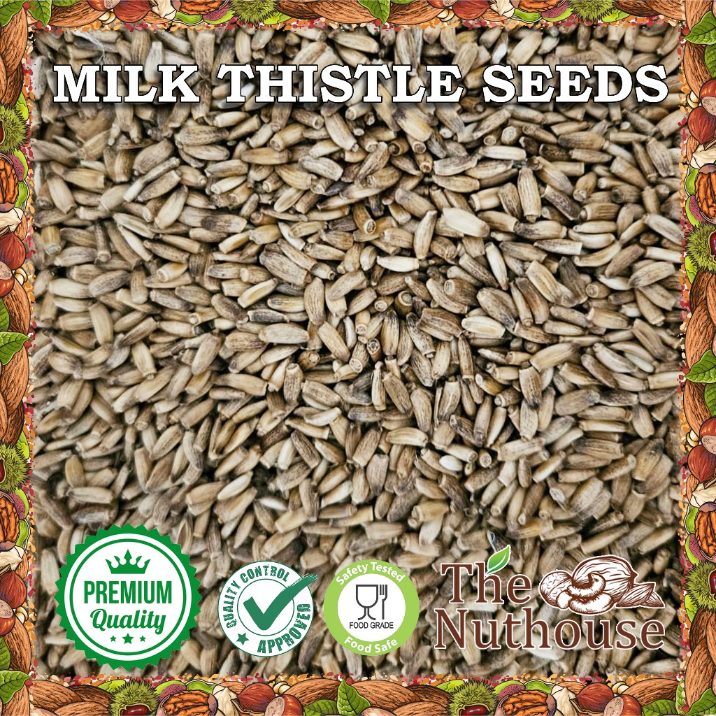 

100gr Milk Thistle Seeds / Biji Silybum Marianum Kering
