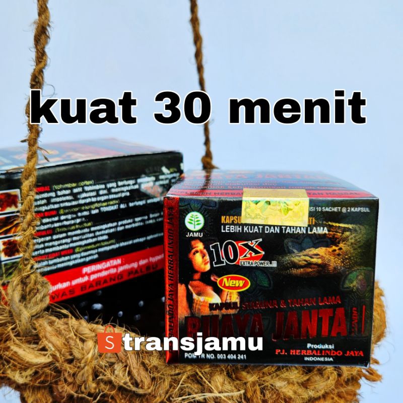 BUAYA JANTAN ASLI. buaya jantan kapsul kuat 30 menit