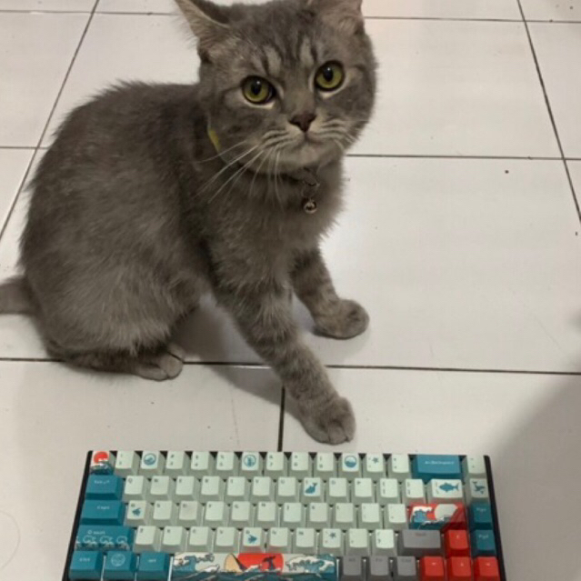 Vortexseries VX6 Keycaps Ukiyo Coral Sea