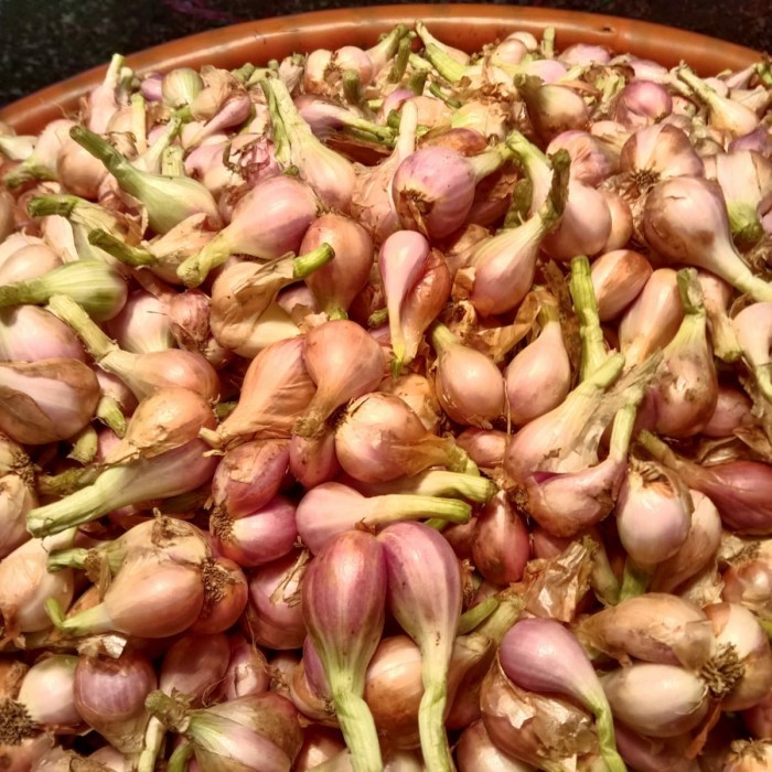 

Kirim Cepat Bawang merah Sumenep 250gr