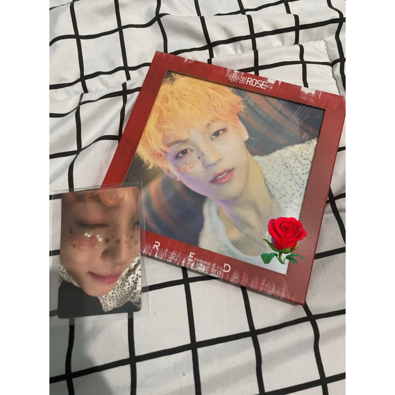 The Rose Woosung Red/Dawn Doodle Photocard