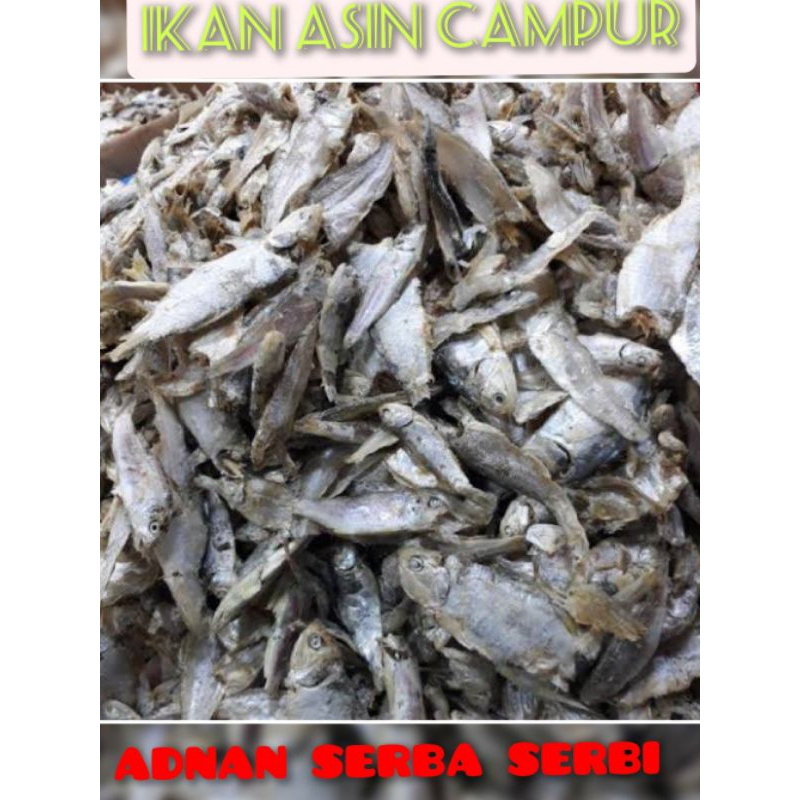 

PROMO....!! IKAN ASIN CAMPUR CAMPURAN