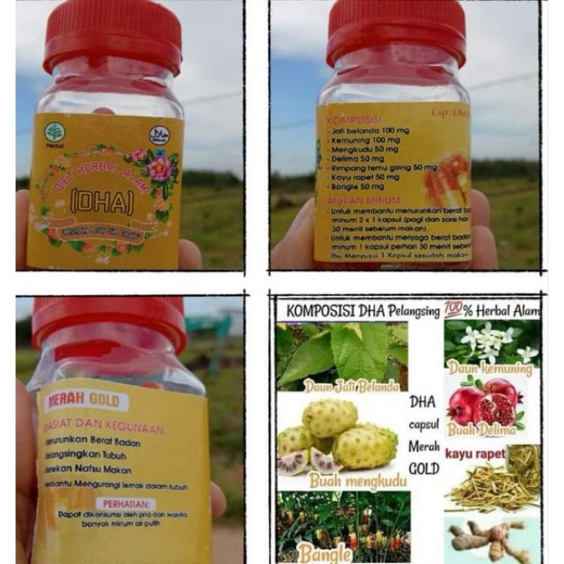 DHA diet herbal alami