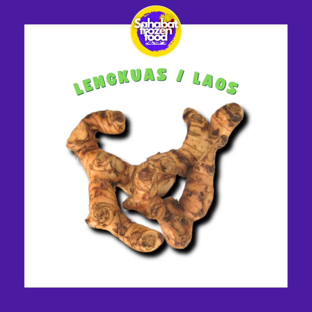 

Lengkuas / Laos - Rempah Segar