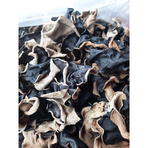 

Jamur Kuping Kering 100 Gr Grade Campu ABC / Jamur Hitam Kering