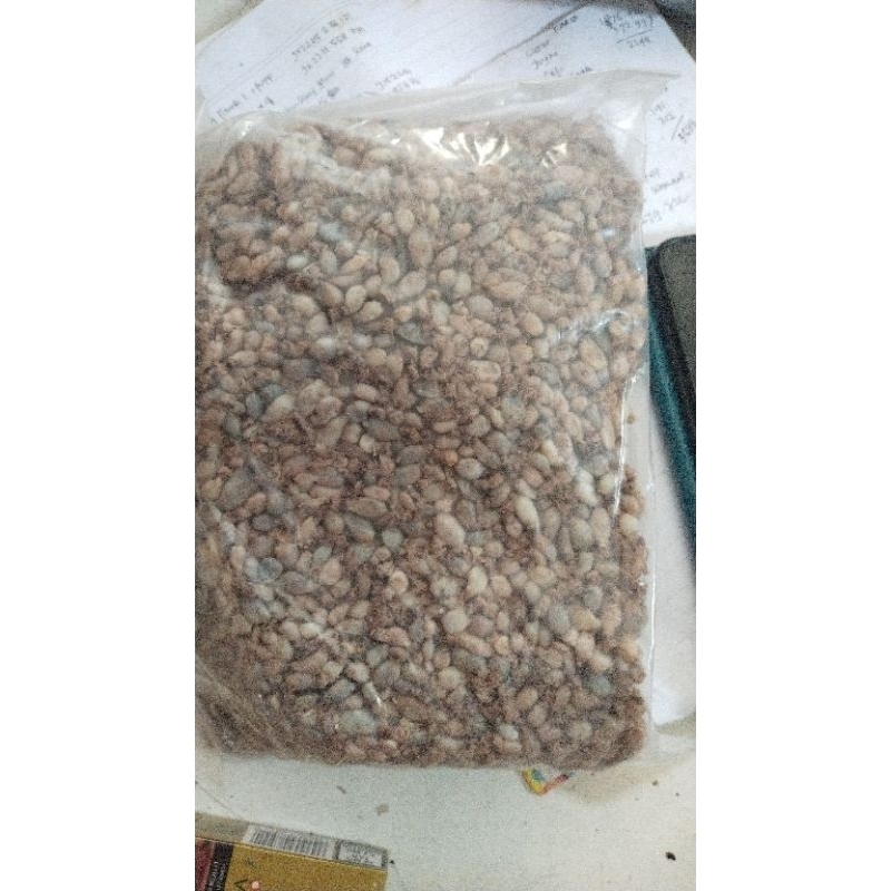 

Baby cumi super 0,5-1cm 250gr