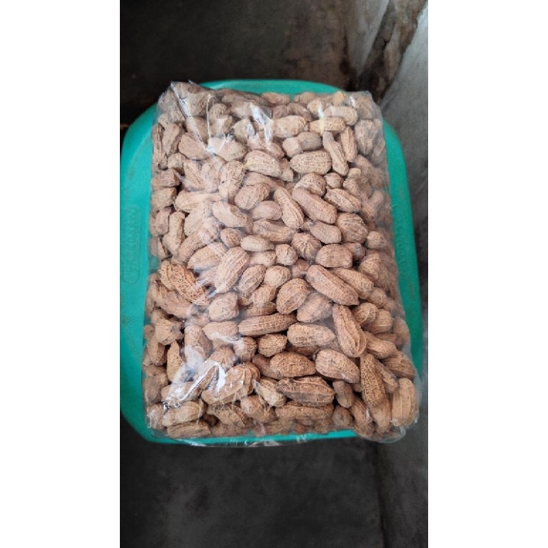 

Kacang sangrai