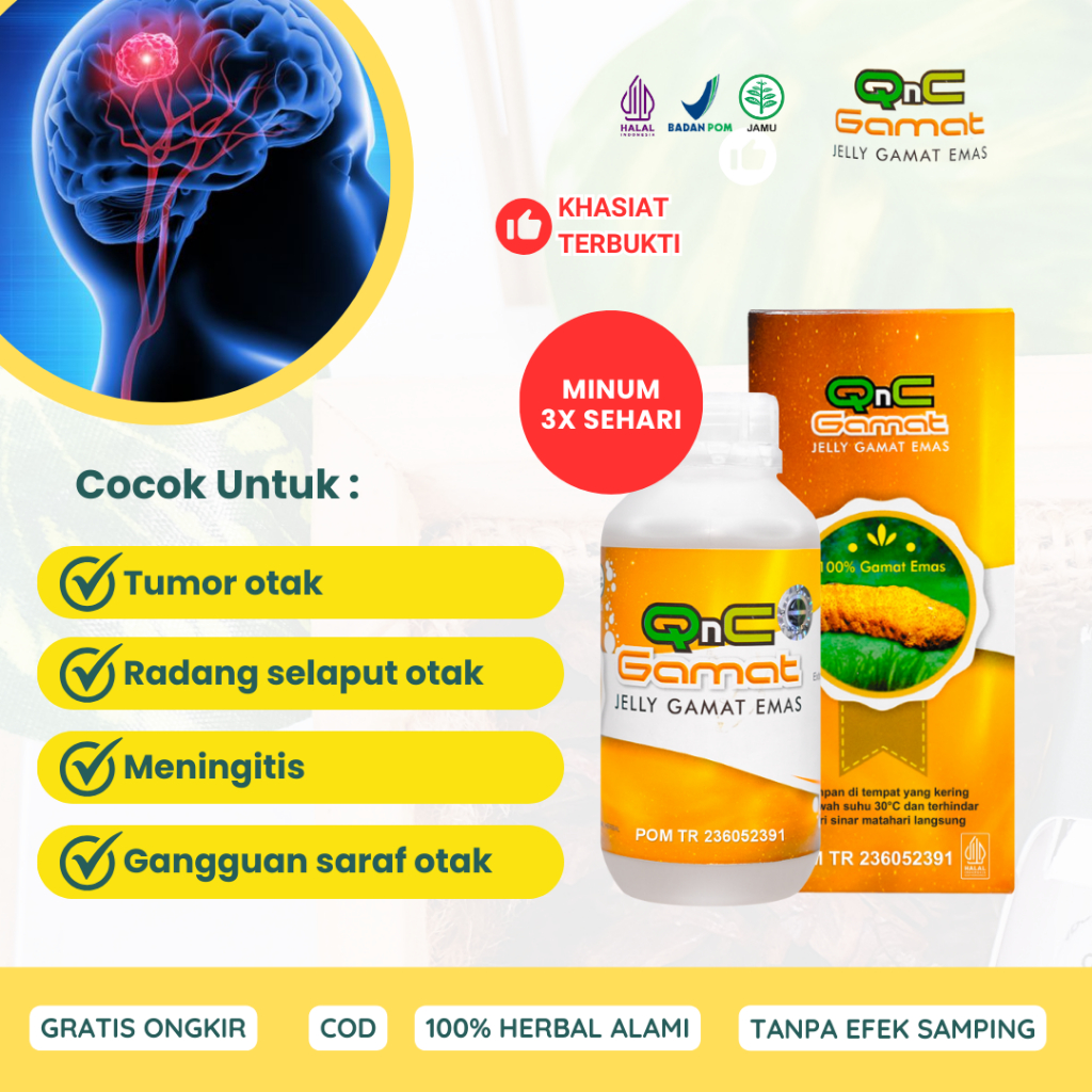 Obat Tumor Otak Herbal Tumor Jinak di Selaput Otak Meningitis Kerusakan Saraf Otak QnC Jelly Gamat A