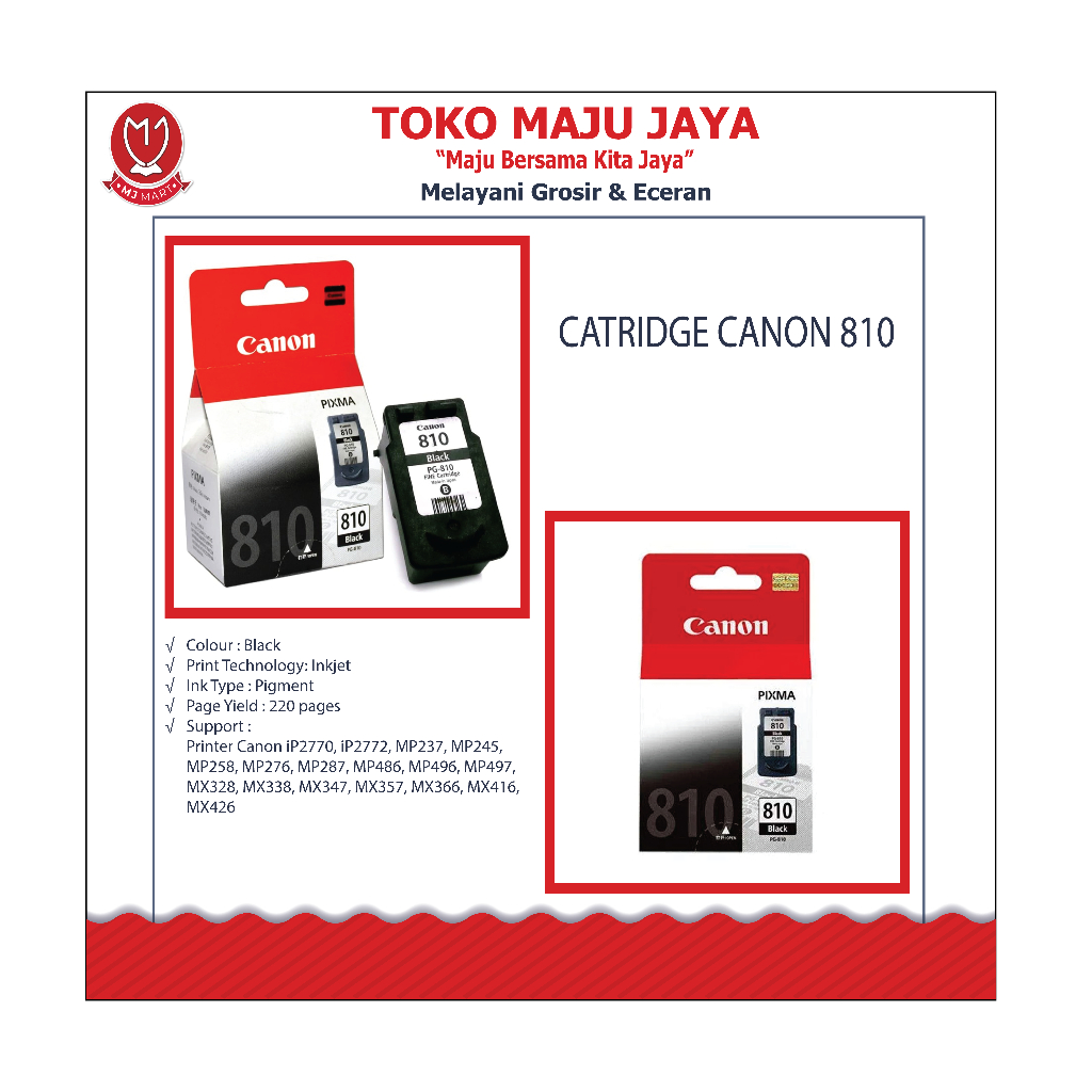 CATRIDGE CANON 810