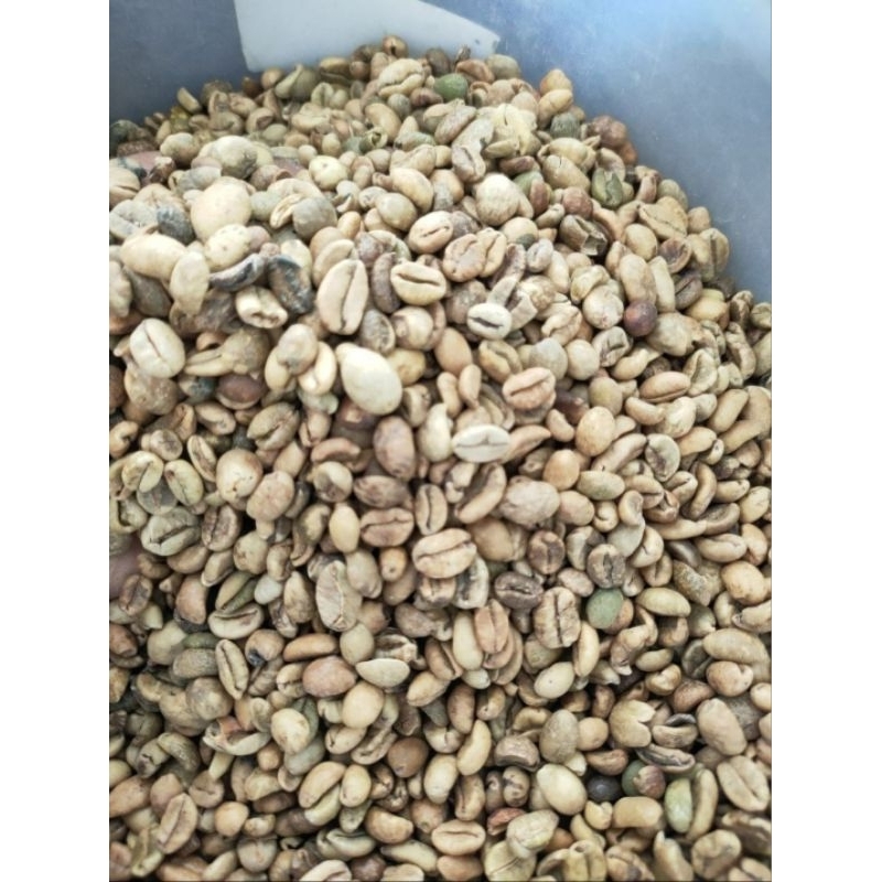 

KOPI NANGKA ASLI 1KG