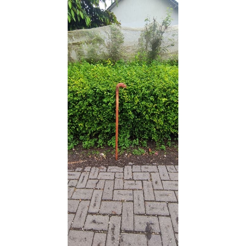 TERMURAH tongkat jalan galih bidara/ tongkat ukir/ tongkat 1 kaki/ tongkat