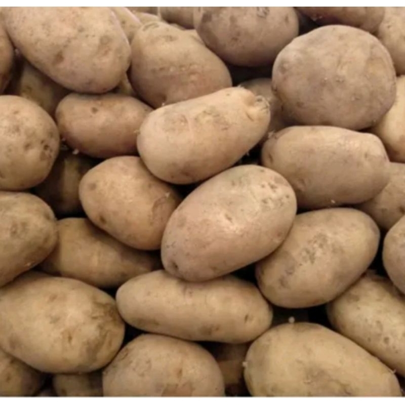 

Kentang Dieng fresh Super 1kg