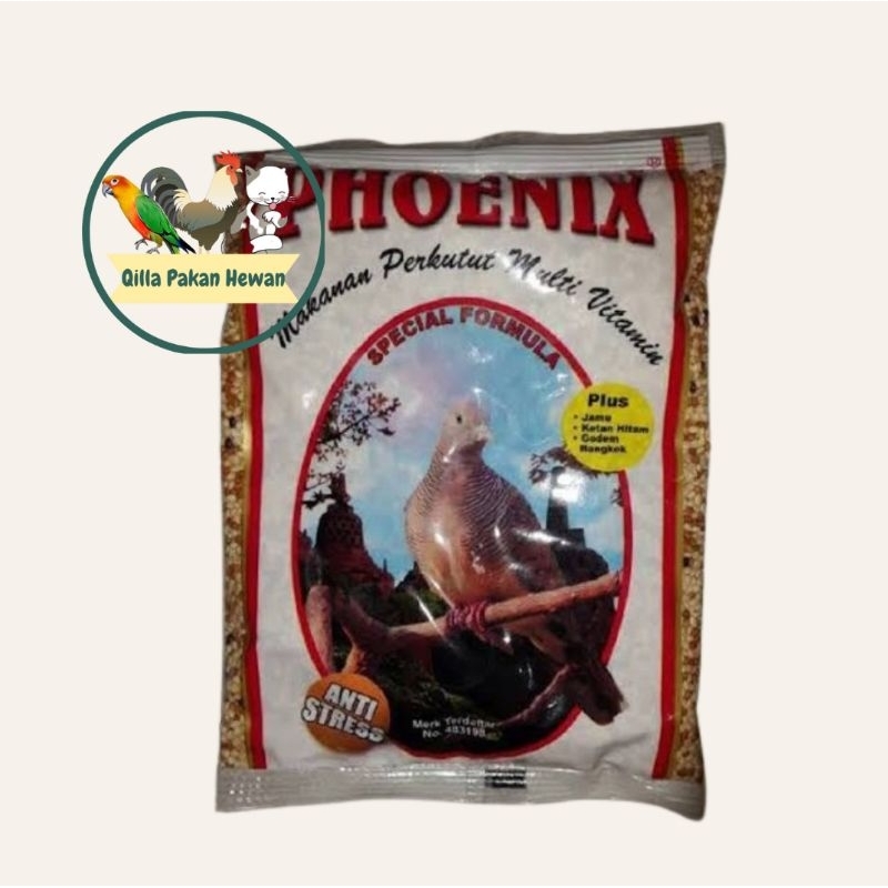 Phoenix perkutut// pakan perkutut