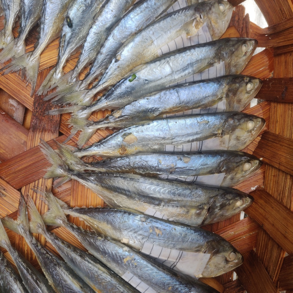 

Ikan Gembung Rebus/Kembung Rebus Instant Pekanbaru