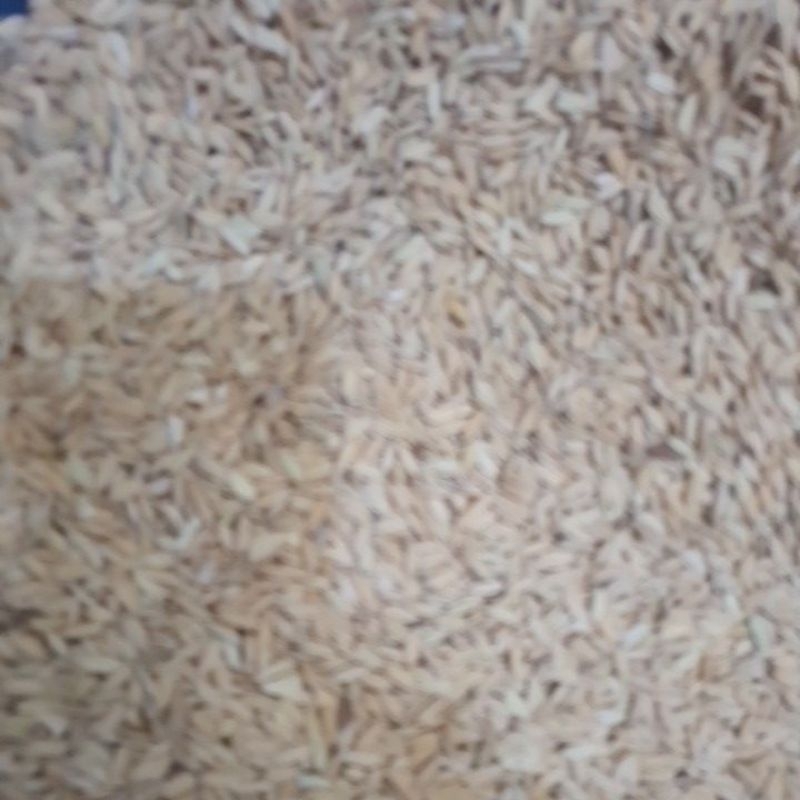 gabah muncul bersih repack 1kg netoo