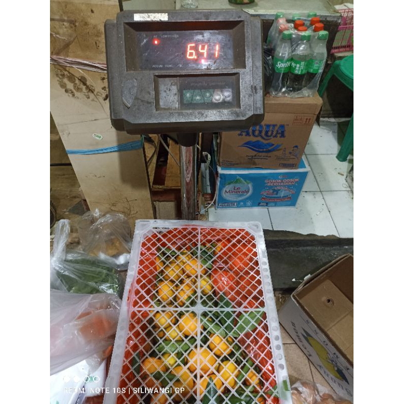 

jeruk santang daun 1 krat